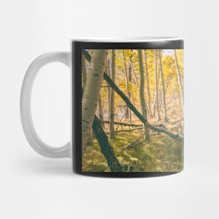 Autumn Aspens Mug